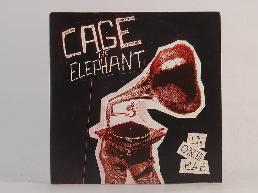 Cage The Elephant In One Ear HD wallpaper