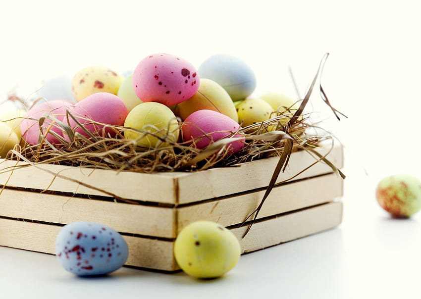 Uova di Pasqua, vacanza, pasqua, uova, nido Sfondo HD