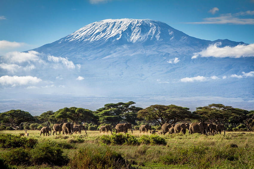 Килиманджаро HD тапет