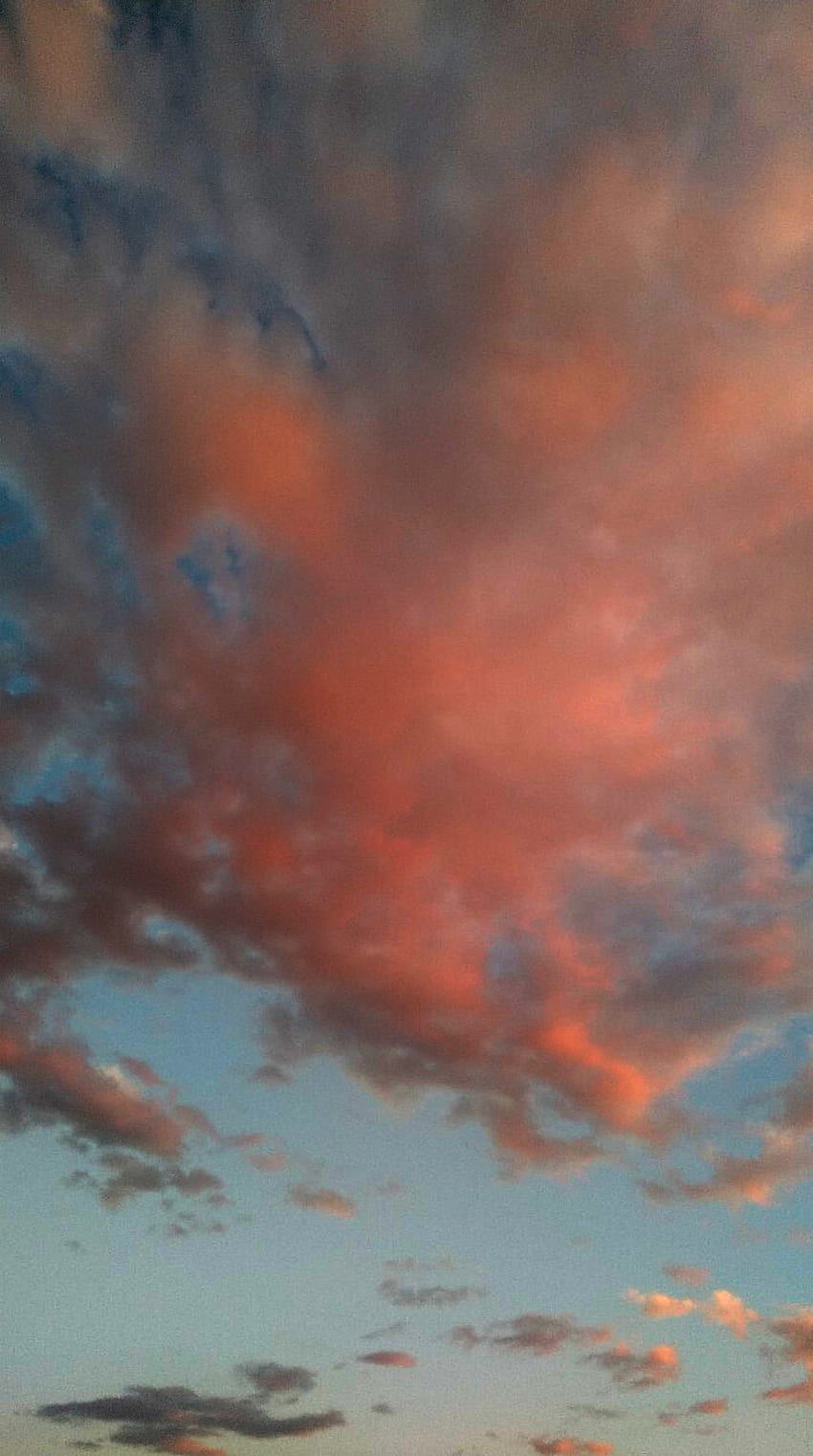 Saltillo pink, Sky, cloud, Cielo, Blue, astethic, nube, rosa Tapeta na telefon HD