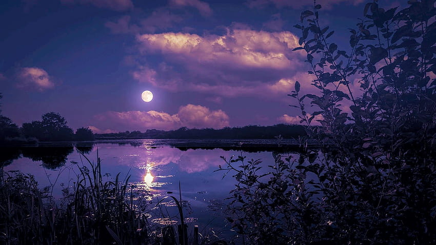 Chiaro di luna, nuvole, cielo, luna, lago, alberi Sfondo HD