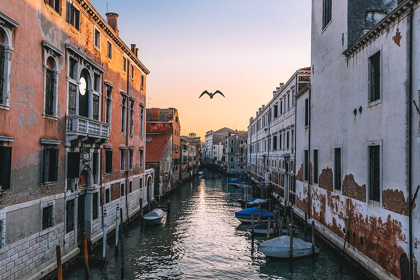 Kota, Sungai, Italia, Venesia, Gull, Seagull, Channel Wallpaper HD