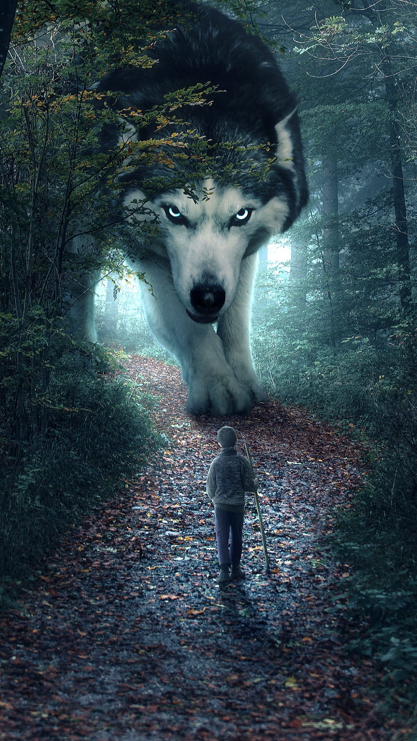 Wolf, forest, fantasy, huge-wolf HD phone wallpaper