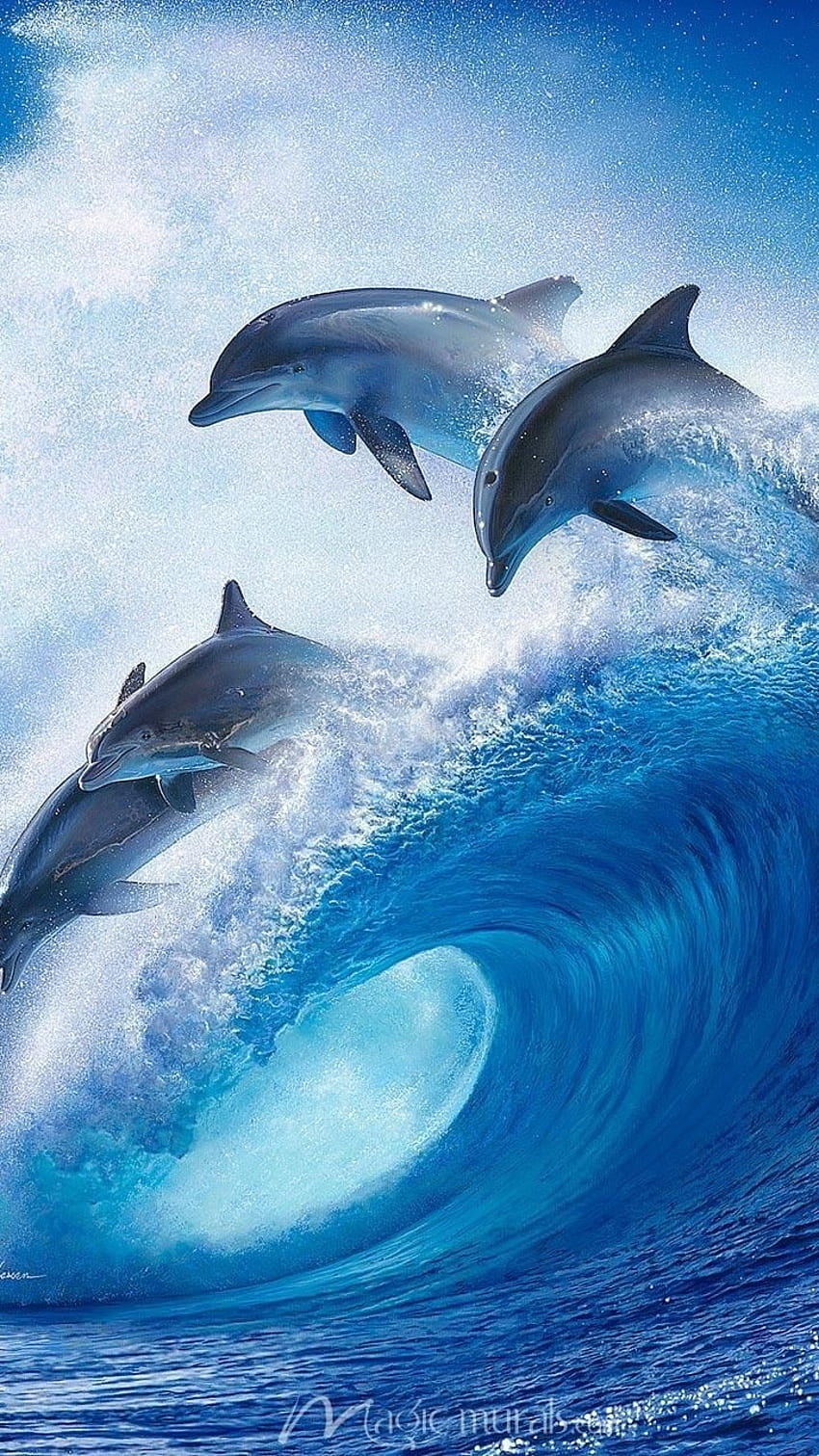 Delphin, Delphinfisch HD-Handy-Hintergrundbild