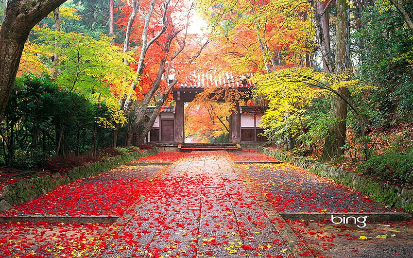 Красота: японски ландшафт. Пейзаж, Японски пейзаж, Есен в Япония, Японска живопис HD тапет