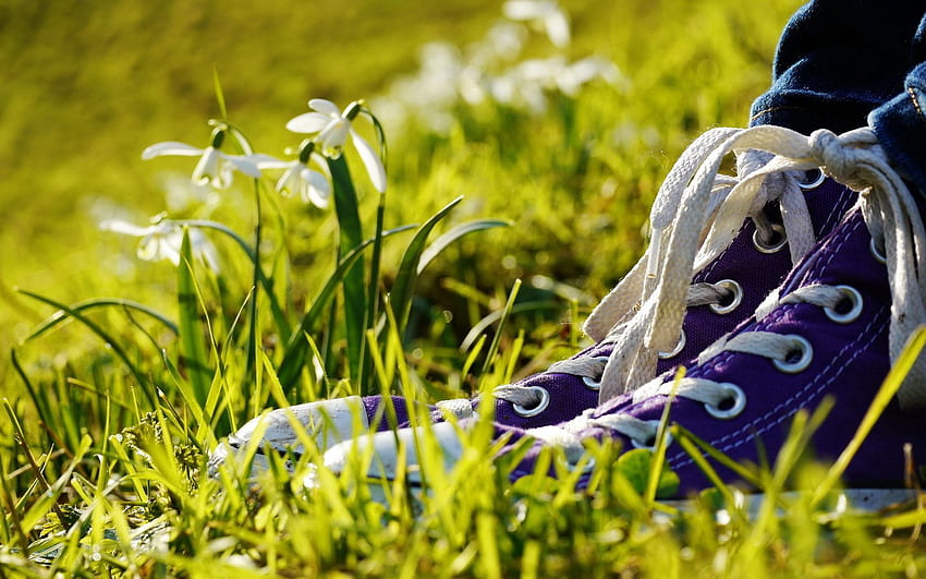 ดอกไม้ หญ้า เบ็ดเตล็ด เบ็ดเตล็ด ขา รองเท้าผ้าใบ รองเท้า วอลล์เปเปอร์ HD