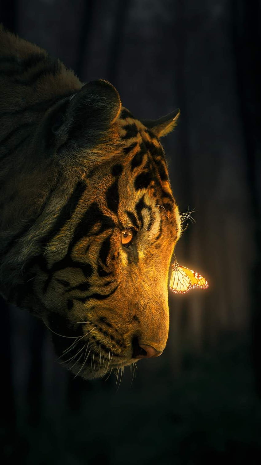Świecące w ciemności iPhone'y. Tygrys iPhone, Zwierzę, Tygrys, Kosmiczny Tygrys Tapeta na telefon HD