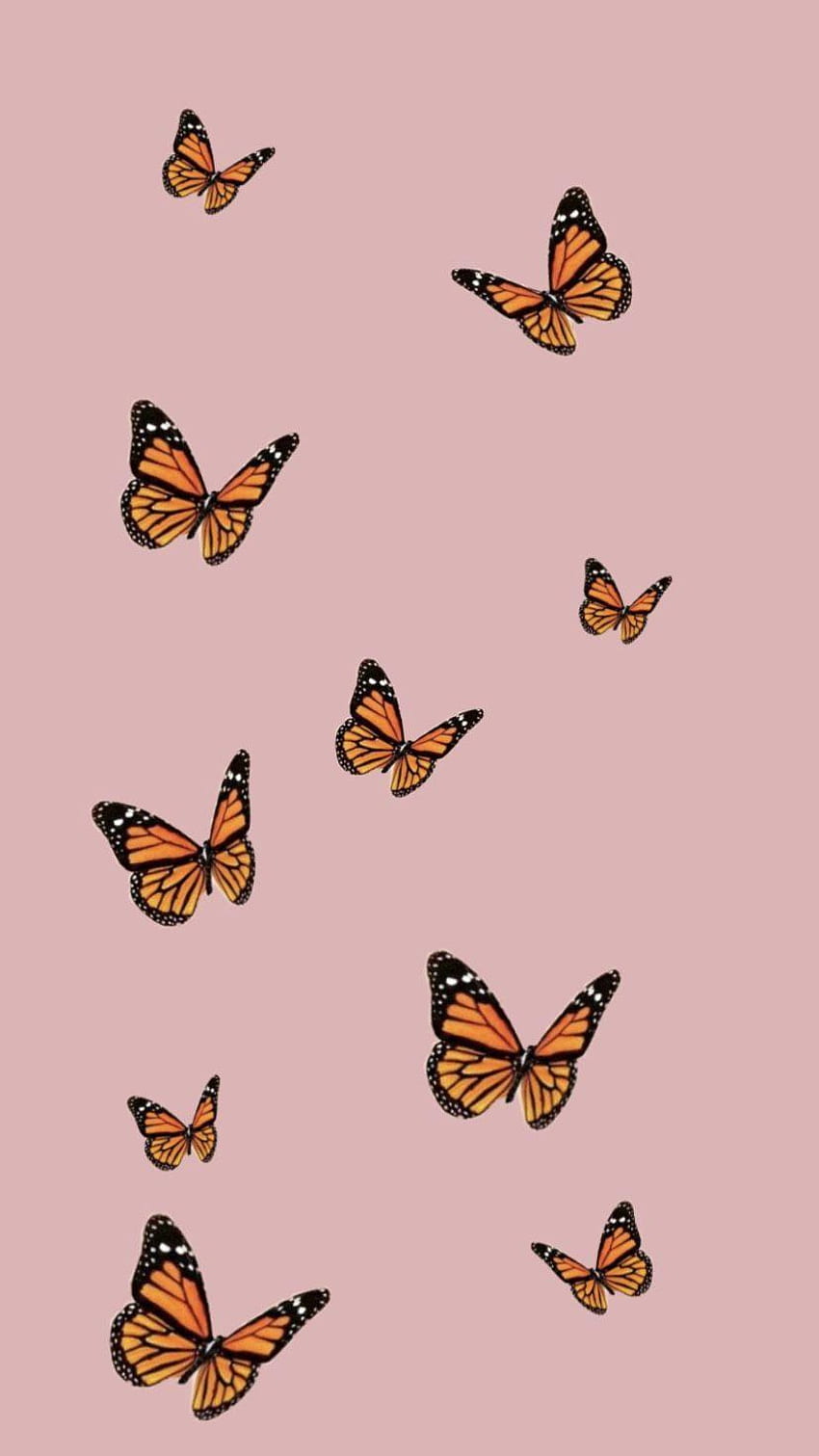 Пеперуда - , пеперуден фон върху прилеп, розова блестяща пеперуда HD тапет за телефон