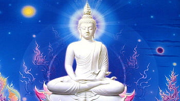 Free download Buddha statue sitting meditating posture HD wallpaper  imagejpg 1600x1000 for your Desktop Mobile  Tablet  Explore 49 Buddha  HD Wallpaper Widescreen  Buddha Wallpaper Wallpaper Buddha Buddha  Wallpapers