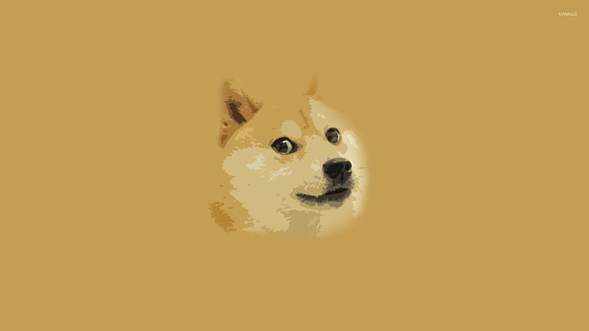 Doge HD wallpaper | Pxfuel