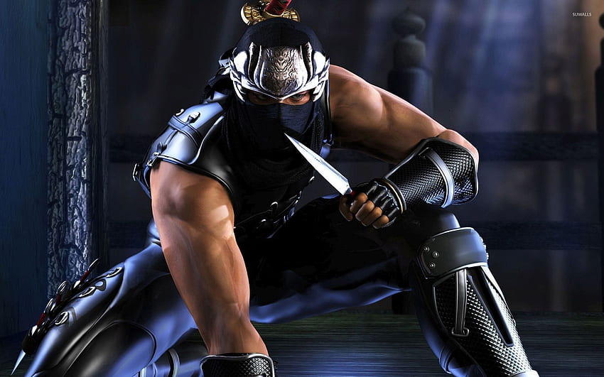 Ryu Hayabusa - Ninja Gaiden - Game HD wallpaper