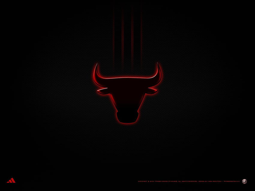 Logotipo Bulls, Touro Irritado papel de parede HD