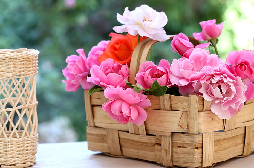 Flowers, Roses, Garden, Basket HD wallpaper