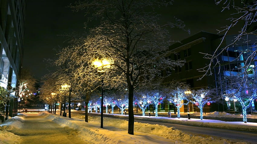 winter city lights wallpaper