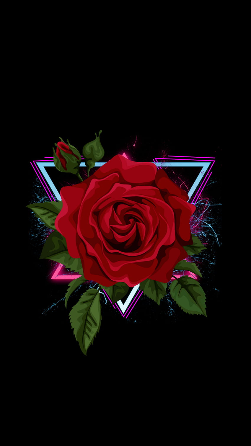 Rose, Amoled, best, wow, flower HD phone wallpaper