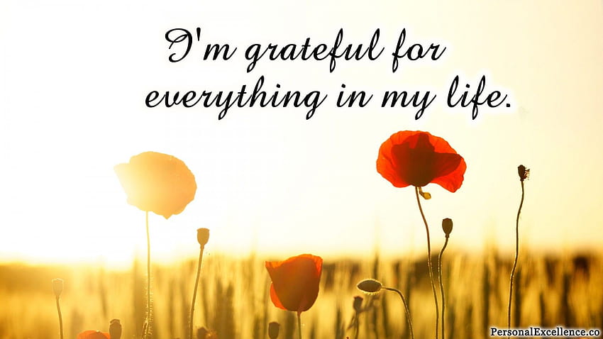 Affirmation Challenge Day 5 [Gratitude]: 'I'm grateful for everything in my life.' HD wallpaper