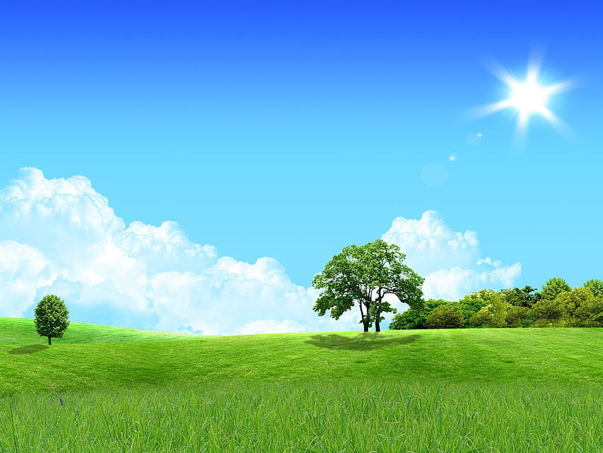 Nature, Trees, Sun, Day, Meadow HD wallpaper