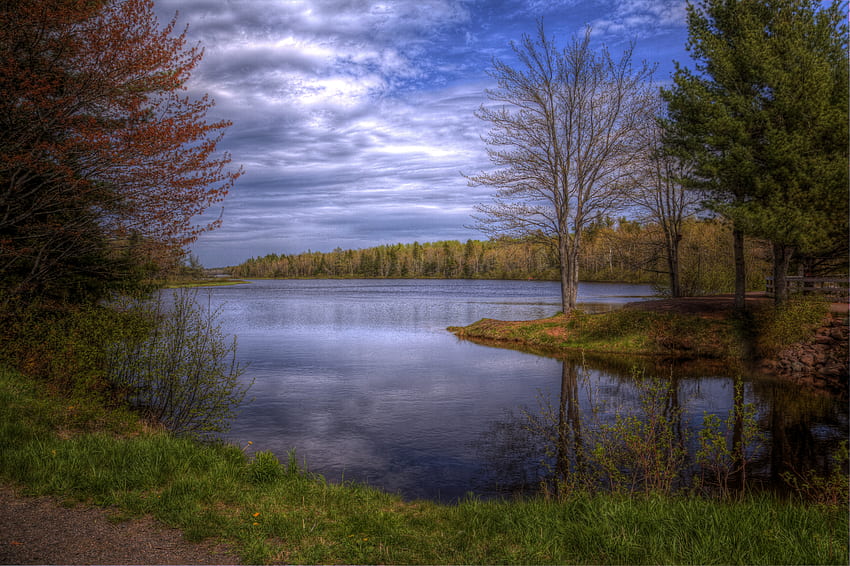 Landscape, Nature, Trees, Sky, Lake, r HD wallpaper