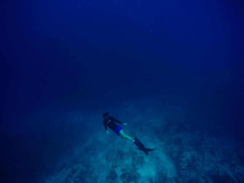 Person Scuba Diving Underwater Deep Sea Water · Stock, Deep Sea Diver HD wallpaper