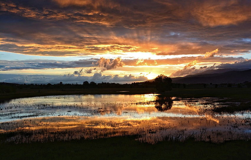 the sun, clouds, rays, sunset, lake, swamp, the evening, Sunset Rain HD wallpaper