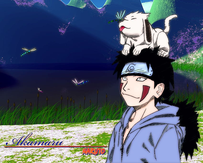 720P Free download | naruto shippuden akamaru kiba inuzuka High Quality ...