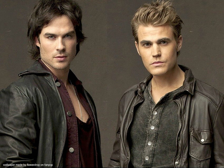 Damon Salvatore Elena Gilbert Stefan Salvatore Admirador de arte