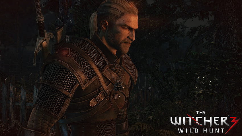 Iorveth stunned by Geralt at The Witcher 2 Nexus - mods and community HD  wallpaper