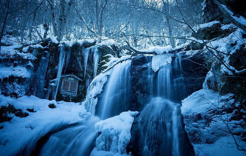 winter, forest, water, snow, branches, nature, stones, rocks, blue, winter, waterfall, ice, stream, icicles, window, cascade for , section пейзажи, Winter Waterfall HD wallpaper