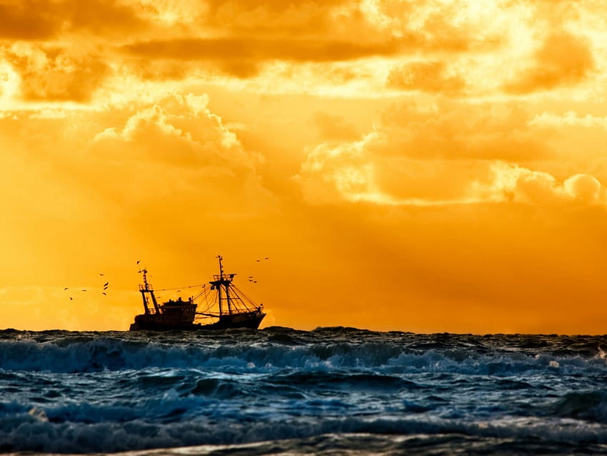 เรือที่พระอาทิตย์ตก ทะเล นก เรือ เรือ ตกปลา กองทัพเรือ ธรรมชาติ พระอาทิตย์ตก วอลล์เปเปอร์ HD