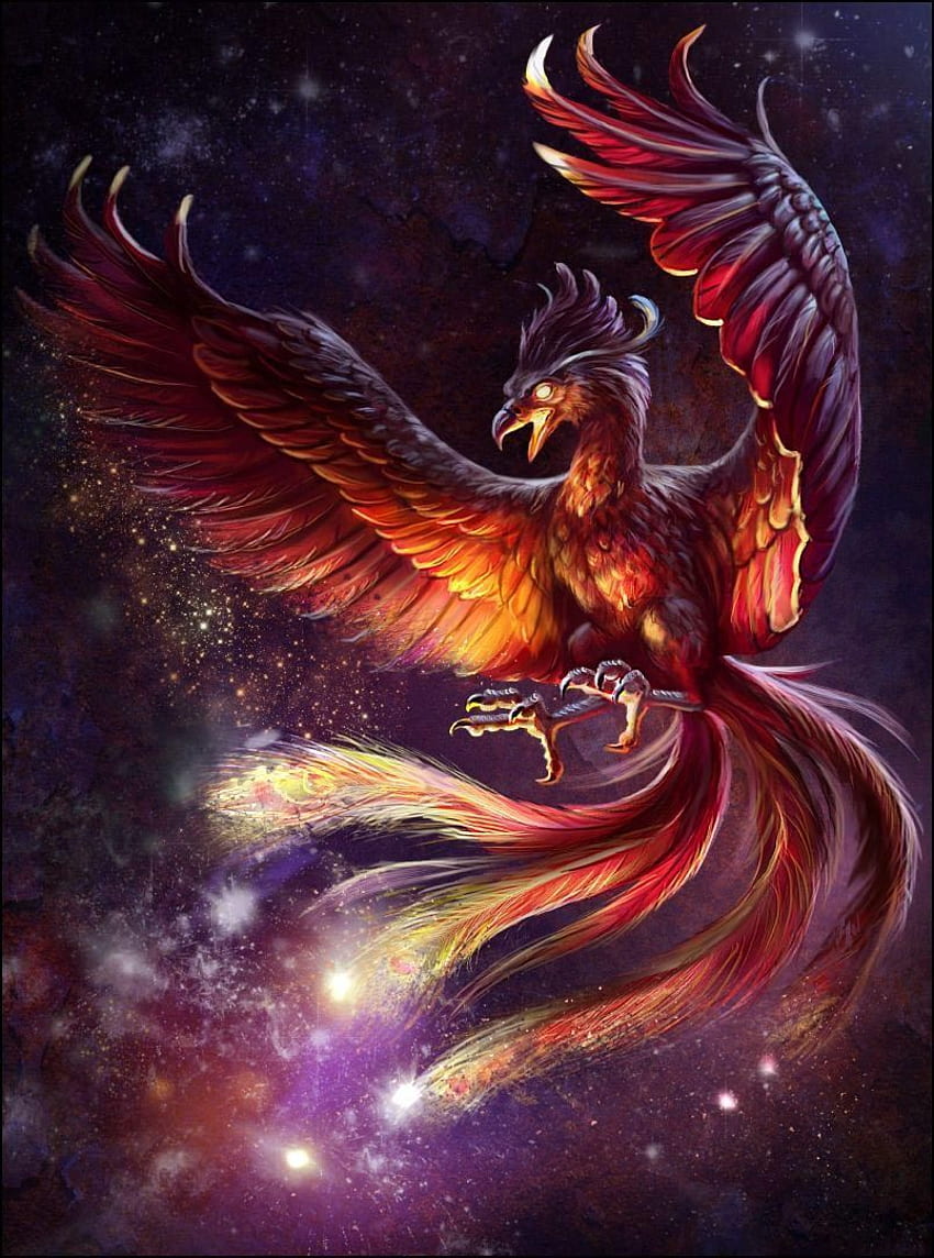 Phoenix 157. Phoenix artwork, Phoenix , Disegni di uccelli, Mythical Phoenix Sfondo del telefono HD