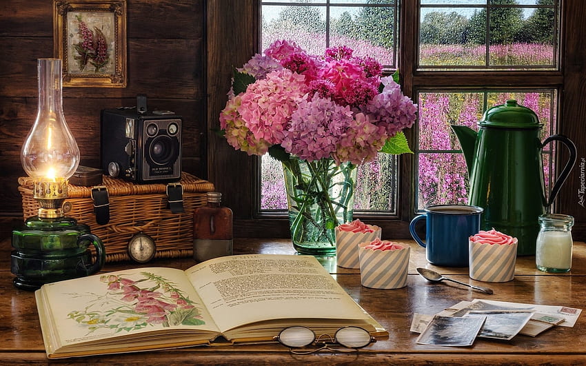 Hydrangea Still Life, still life, book, hydrangeas, lamp, cupcakes HD wallpaper