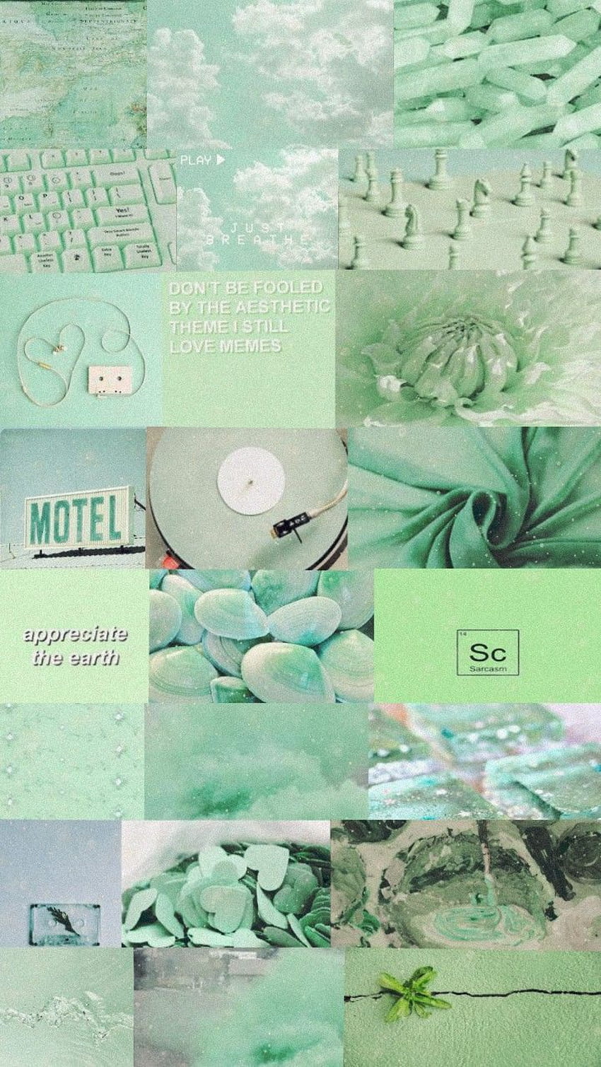Pastel Green Aesthetic Wallpapers  Mint aesthetic Mint green wallpaper  Mint green wallpaper iphone