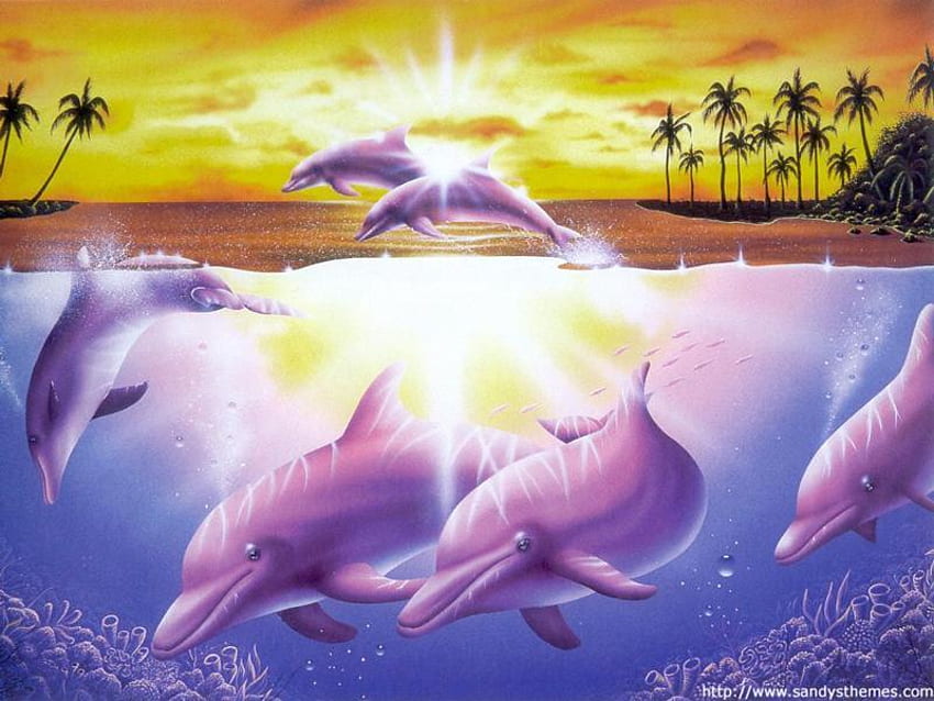 SIX AT PLAY, dolphins, six, play, sunset HD wallpaper