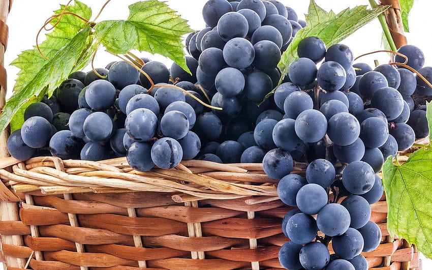 Anggur, daun,, makanan Wallpaper HD