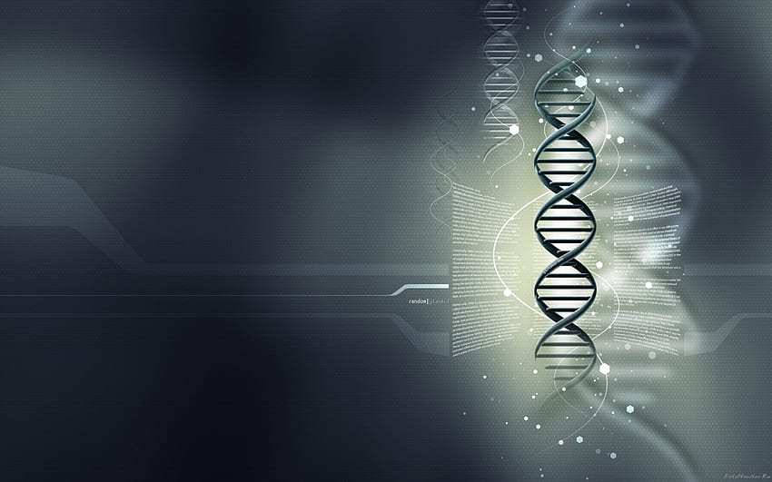 gray background, DNA, medical , genes, Concentration PC HD wallpaper