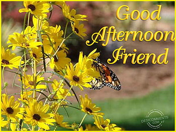 good afternoon friendship messages