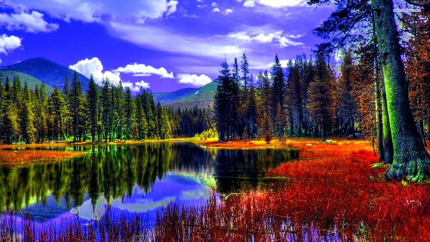 AUTUMN POND, autumn, pines, mountains, forest, pond HD wallpaper