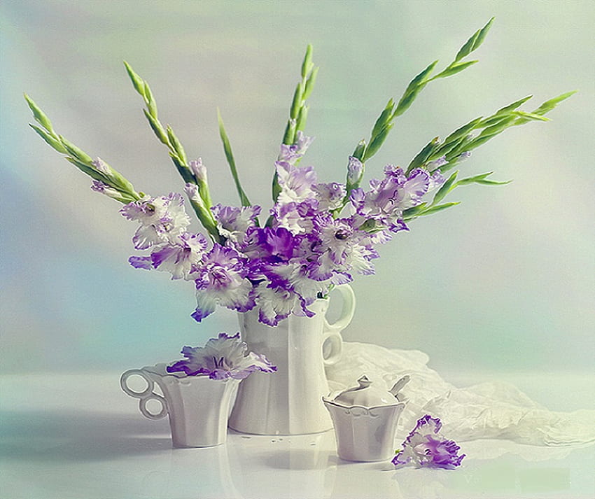 Tenderness, fluff, white, stems, gladiolus, vase, beautiful, cups, purple, still life, trim, petals, green, flowers HD wallpaper