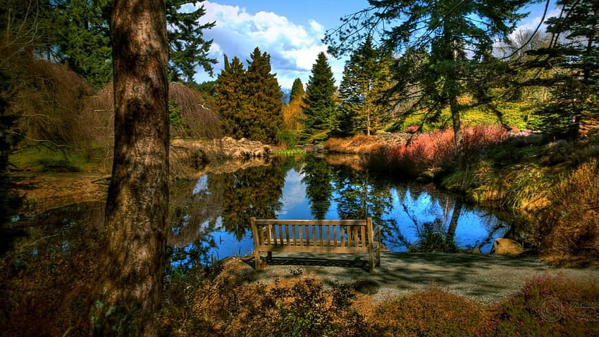 Escena de un asiento, lago, asiento, árboles, arbustos fondo de pantalla