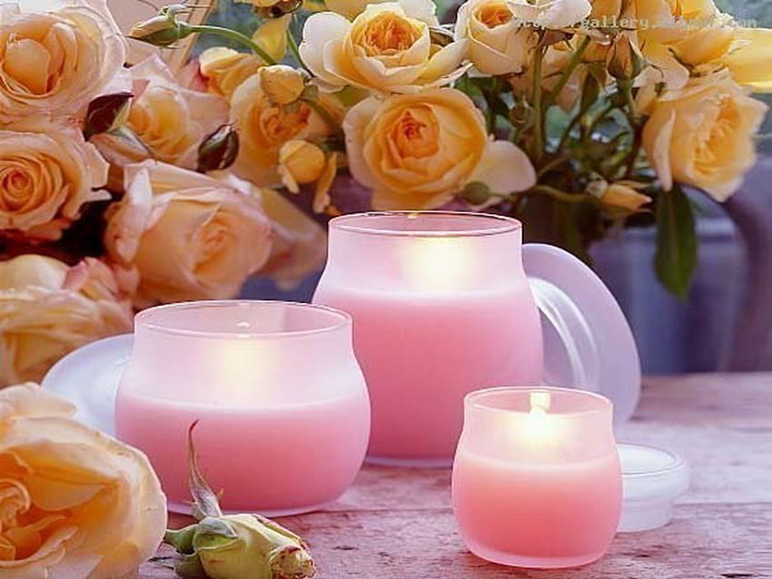 relax, pink, roses, yellow, candles HD wallpaper