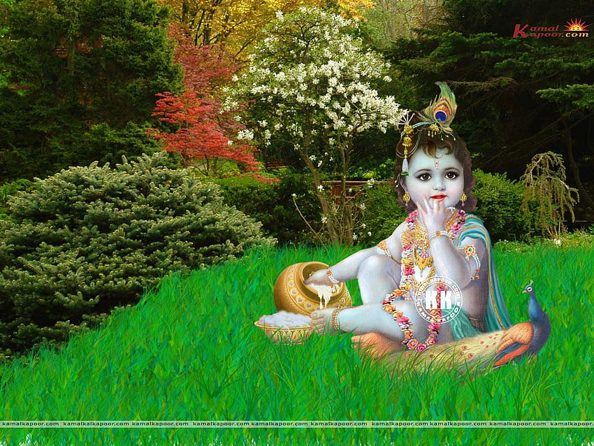 Baby-Krishna, Baby-Krishna-er, Baby-Krishna HD-Hintergrundbild