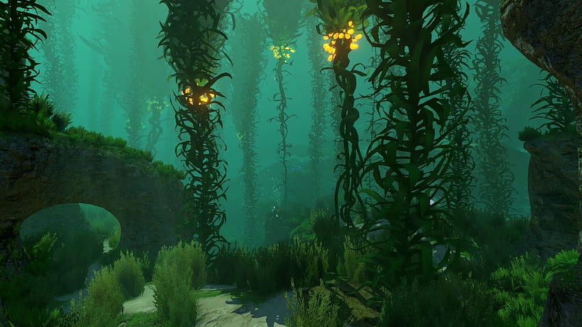 Der leuchtende Kelpwald - (Subnautica), Algen HD-Hintergrundbild