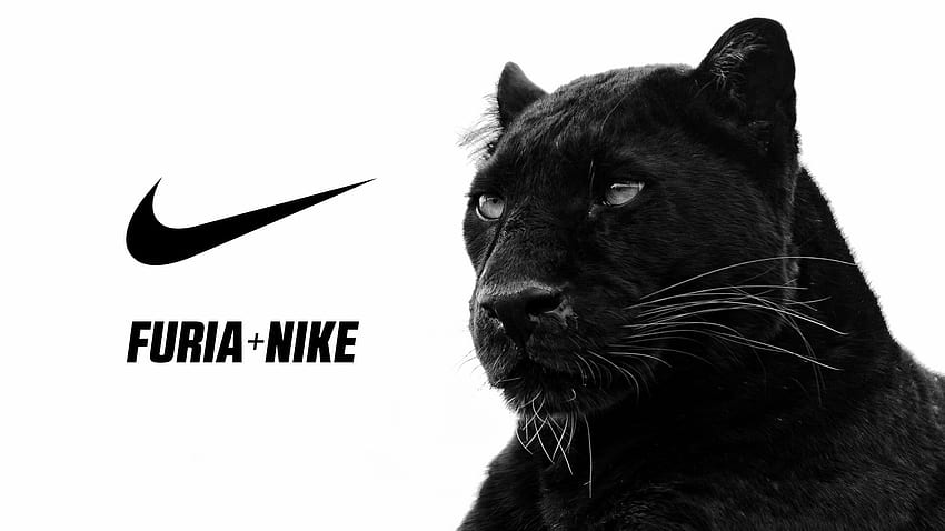 FURIA announces Nike as a new partnerfuria.gg HD wallpaper