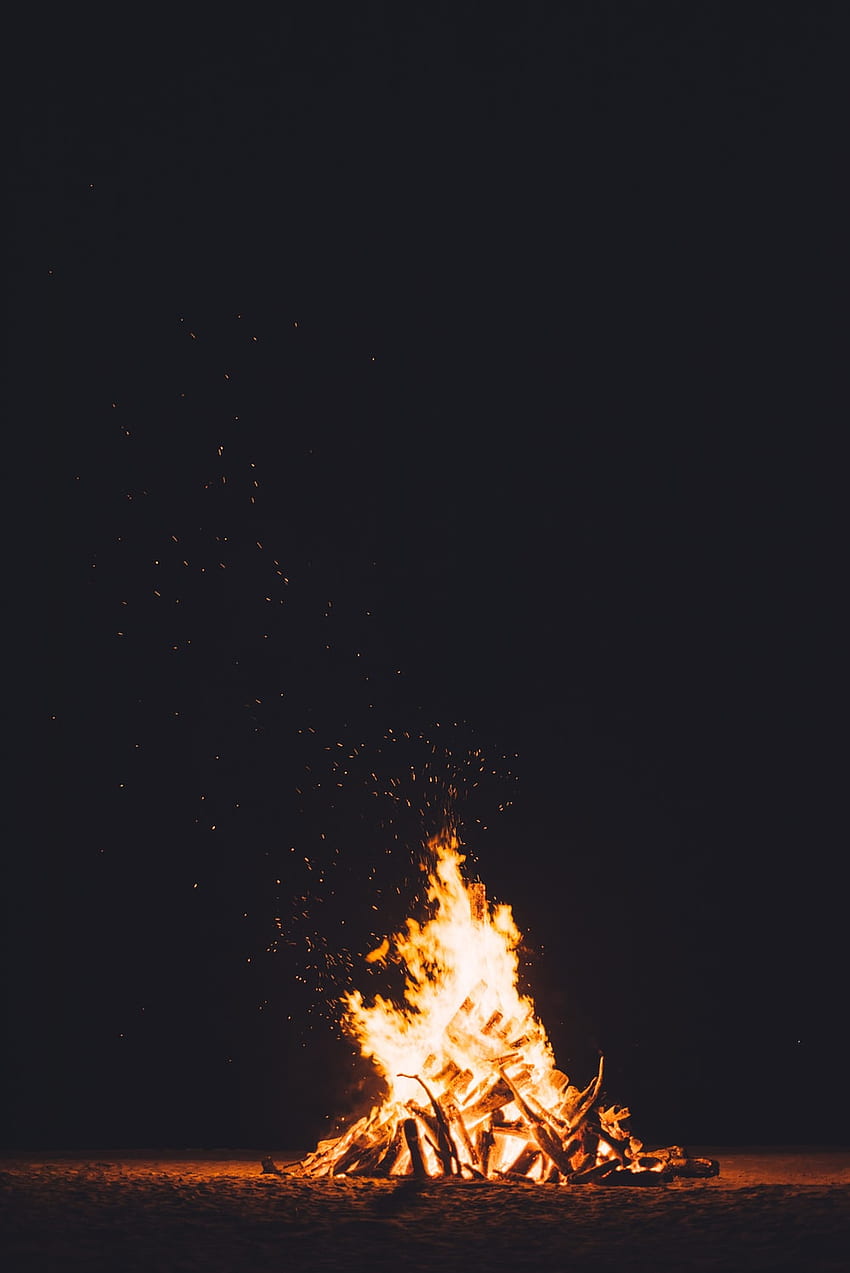 最高のキャンプファイヤー []、秋の焚き火 HD電話の壁紙