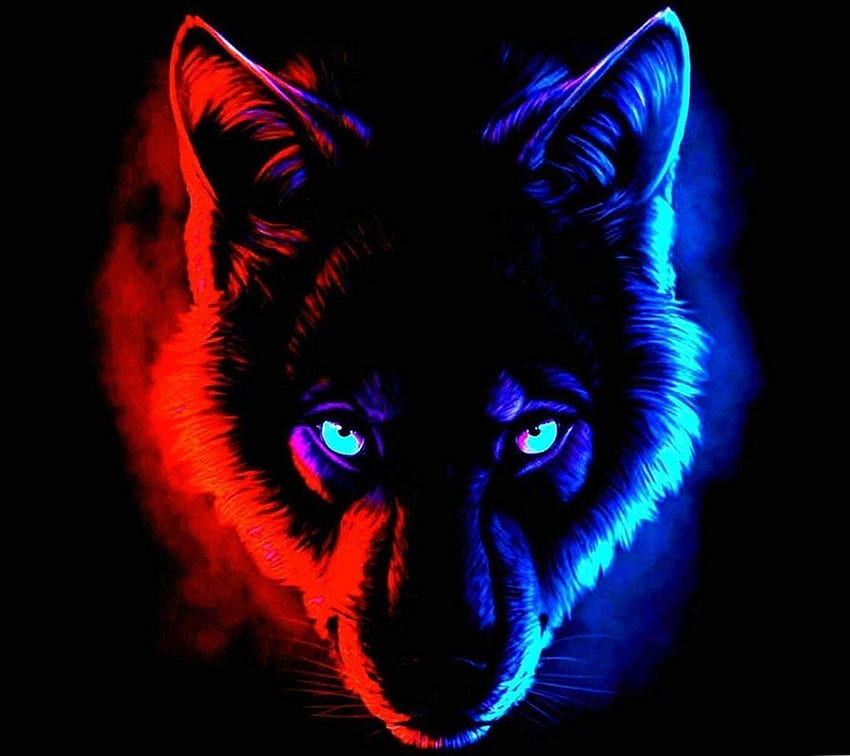Android, iPhone, Background / - Glow In The Dark Wolf, Evil Wolf Eyes HD wallpaper