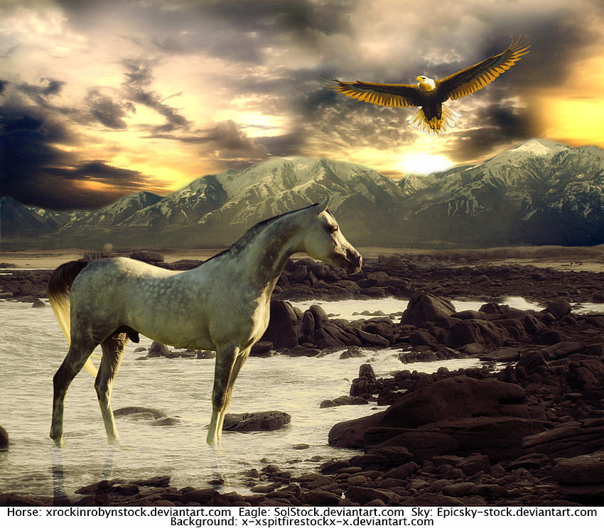 Wintry Landscape, horses, eagle, grey, arabian, bald eagle HD wallpaper