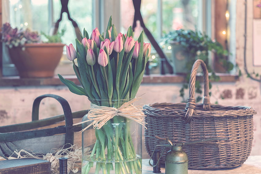 Bunga, Tulip, Buket, Vas Wallpaper HD