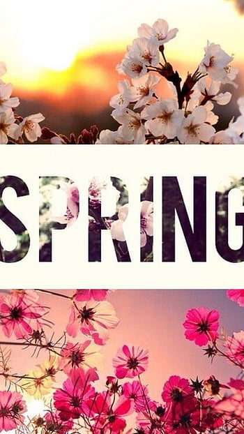 Spring Wallpaper for Android  Download  Cafe Bazaar