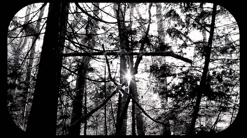 Blair Witch Project Hd Wallpaper Pxfuel 4460