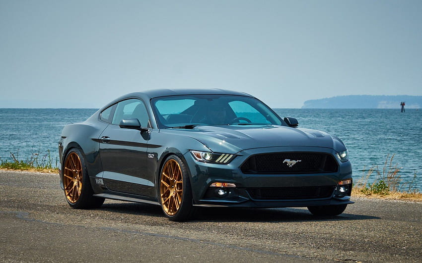 Ford, Mustang, Cars, Side View, Se1 HD wallpaper